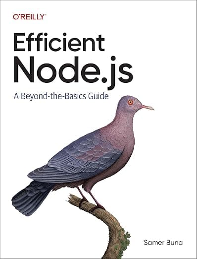 Efficient Node.js book cover